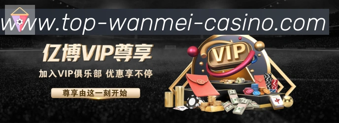未来规划